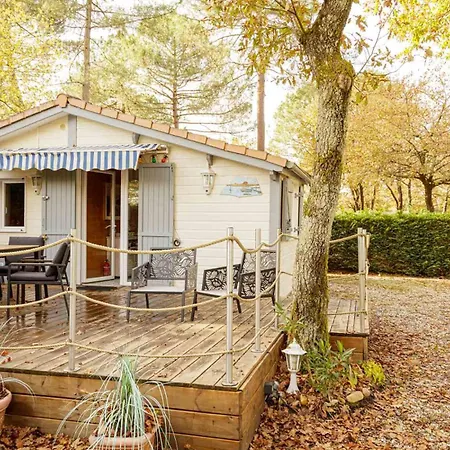 213 En Lisiere De Foret *