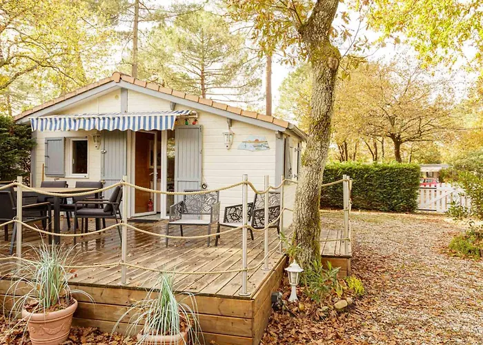 213 En Lisiere De Foret *